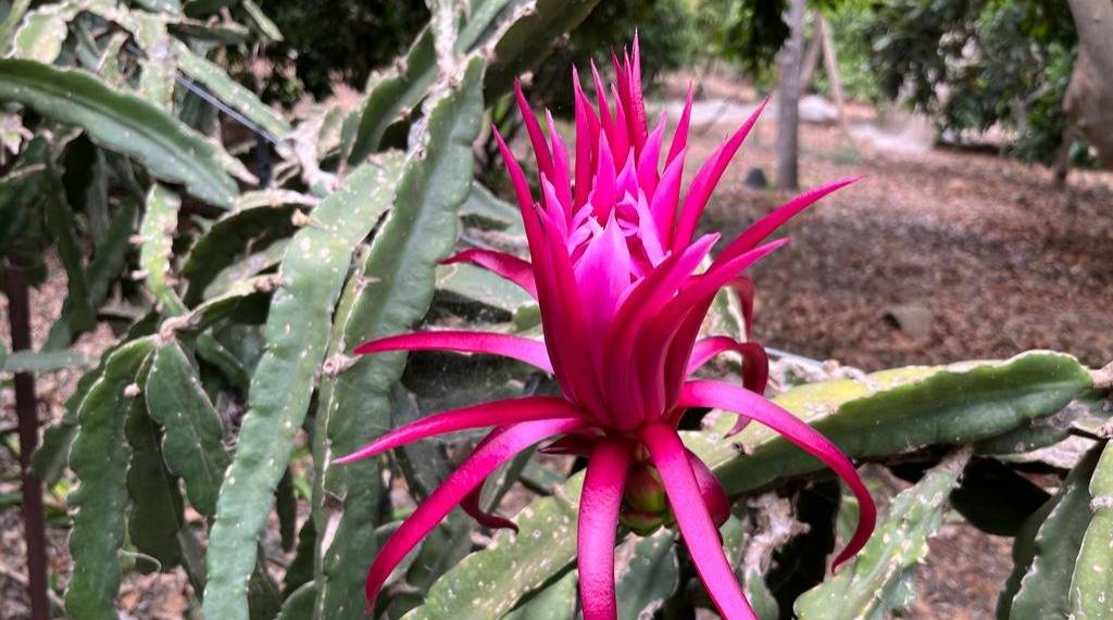 תמונה 6 מקיבוץ מעגן מיכאל